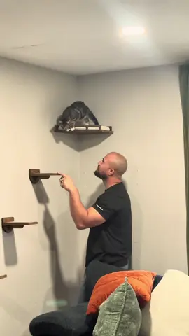 Can you understand what this cat is doing🤣#cat #cats #catsoftiktok #catlover #fyp 