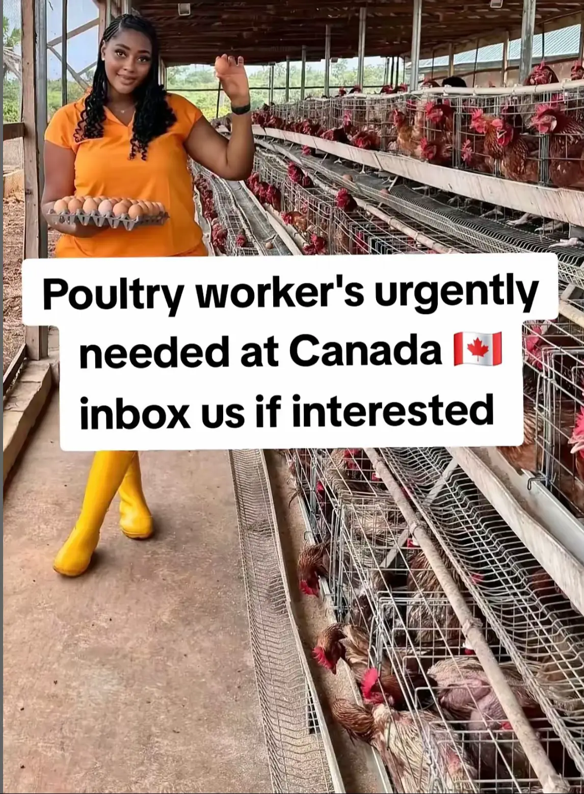 Africa links travel consultant •  Travel And Work In Canada And Pay Later From Your Salary. Just Get Your Passport And 30% Of The Travel Expenses Now Which Is Equivalent To GHS 10,000 And Inbox Me Now To Apply... No Qualifications Or Experience Needed. No Age Limits Please Call Or 0536054445 WhatsApp:+233536054445 To Apply Now.!! !!!