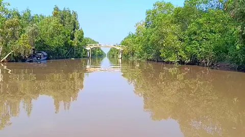 làm khó coi dị ta 😆🥰#xuhuong #mientay #quoctinh #fyp 