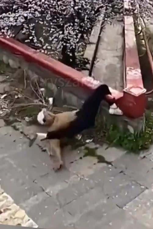 Extreme sports fails comp ⚠️no imitation🚫treasure your life ❤️#foryou #fyp #usa #parkour #danger #accident #unlucky #challenge #funnyvideos 