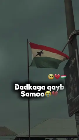 Wn ka xumahy walhi Somaliland xalday ku jirto🤦🏿‍♀️💔#shعni🦊❤️ #somalilandtiktok💚🤍❤ #somalilander💚🤍❤️💉 #samroonsiciid #habarjeclo 