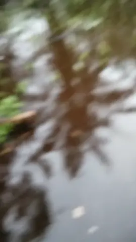 banjir depan rumah di siak