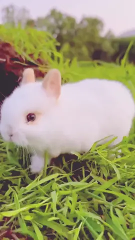 #Beautiful #cute #tiktokvideo #fypシ #fypage 