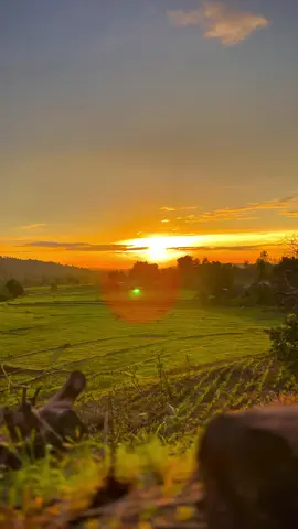 Kata-kata ta' 🙏😁 #storybugis #storykatakata #storywhatsapp #katakatabugis #bugis 