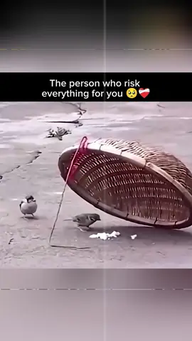 aceh🥀 sumut 🥀 sumbar 🥀#prayforsumatra #banjirbandang #aceh #sumut #sumbar