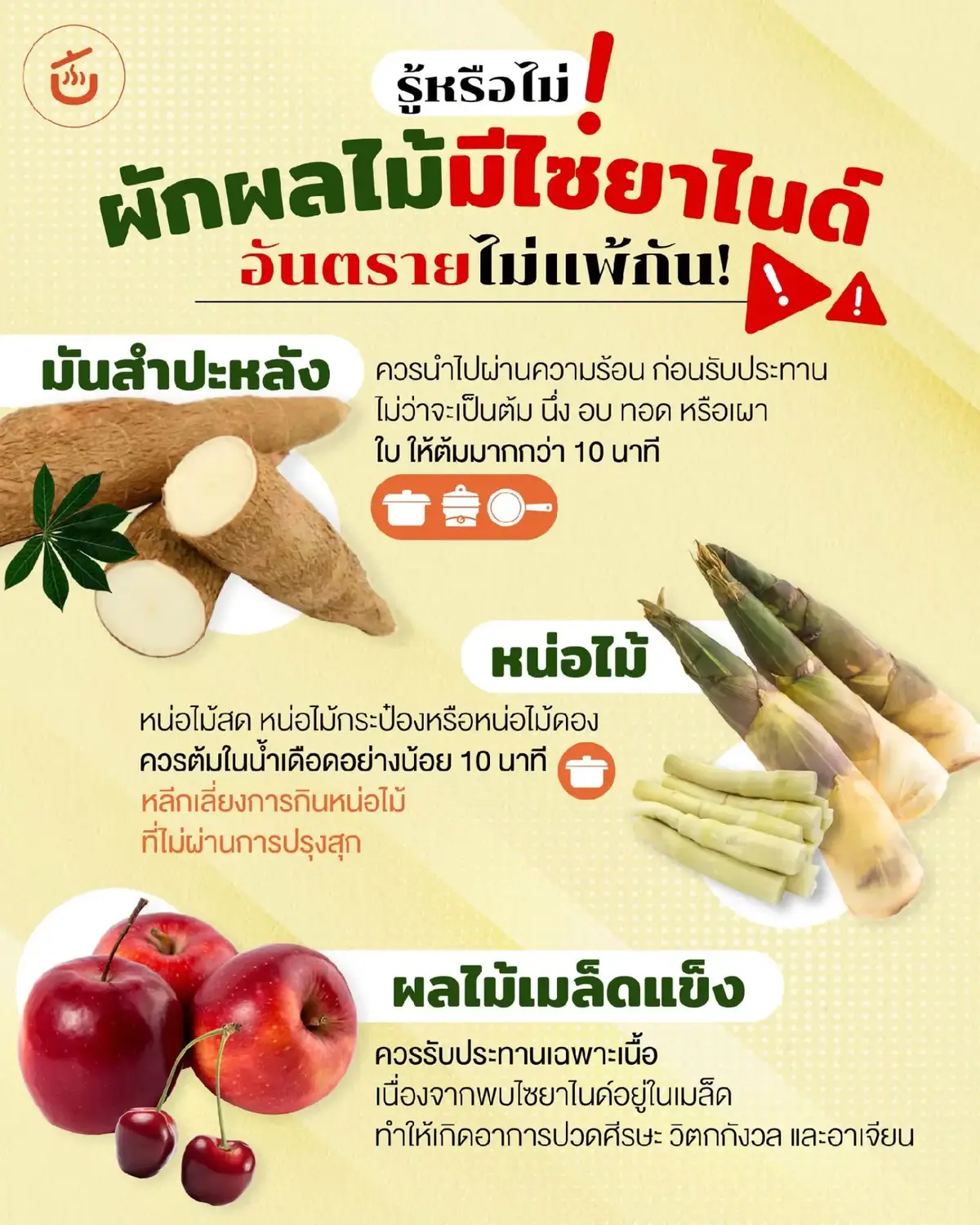 รู้หรือไม่! ผักผลไม้มีไซยาไนด์ อันตรายไม่แพ้กัน‼️ 🥔มันสำปะหลัง ควรนำไปผ่านความร้อนก่อนรับประทาน ไม่ว่าจะเป็นต้ม นึ่ง อบ ทอด หรือเผา ให้ต้มนานมากกว่า 10 นาที 🫛หน่อไม้ หน่อไม้สด หน่อไม้กระป๋อง หรือหน่อไม้ดอง ควรต้มในน้ำเดือดอย่างน้อย 10 นาที หลีกเลี่ยงการกินหน่อไม้ที่ไม่ผ่านการปรุงสุก 🍎ผลไม้เมล็ดแข็ง ควรรับประทานเฉพาะเนื้อ เนื่องจากพบไซยาไนด์อยู่ในเมล็ด ทำให้เกิดอาการปวดศีรษะ วิตกกังวล และอาเจียน #ผักอันตราย #ผักที่ไม่ควรกินดิบ #ไซยาไนด์ #แบ่งปัน #ควรระวัง 