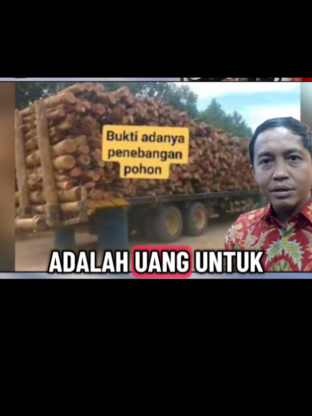 para bandit yang terstruktur dan terorganisasi #viral #trending #banjirsumatra #adilijokowi 