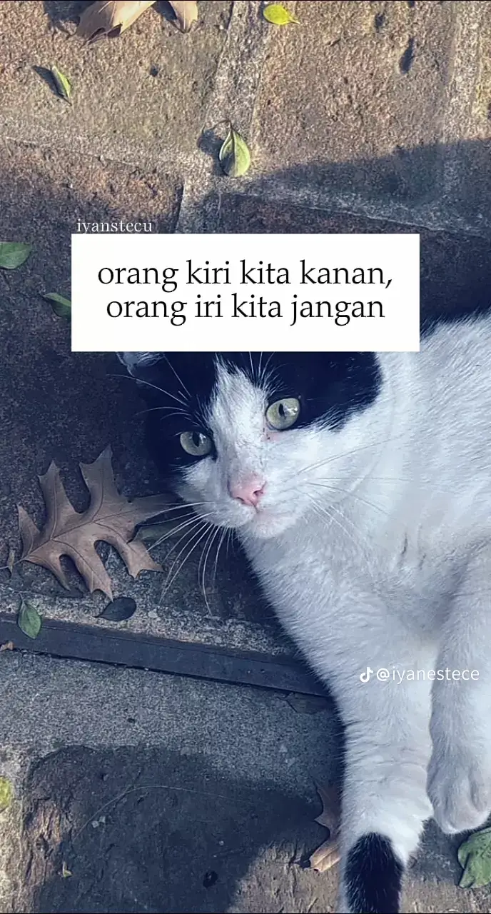 #orangkirikitakanan  #lewatberanda #masukberanda #fyp #trend 