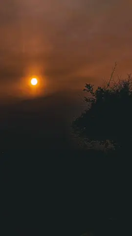 #مصطفى_المالكي#شعراء_وذواقين_الشعر_الشعبي#العراق_السعوديه_الاردن_الخليج#مشاهير_تيك_توك#عراق