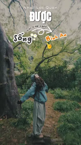 Sống một kiếp người bình an là được 🍃  🍃| Lyric : 