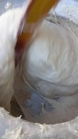 ما شاء الله تبارك الرحمن عرسي دجاج جعلان مسقط السيب