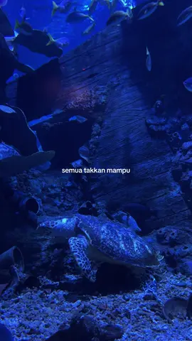 inisialnya aja dibawah