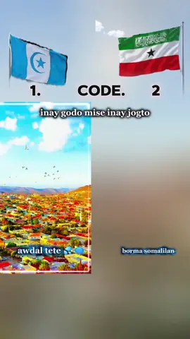 #awdalstate💙🤍 #qarankasomaliland💚🤍❤️🎉 #awdalstate💙🤍 