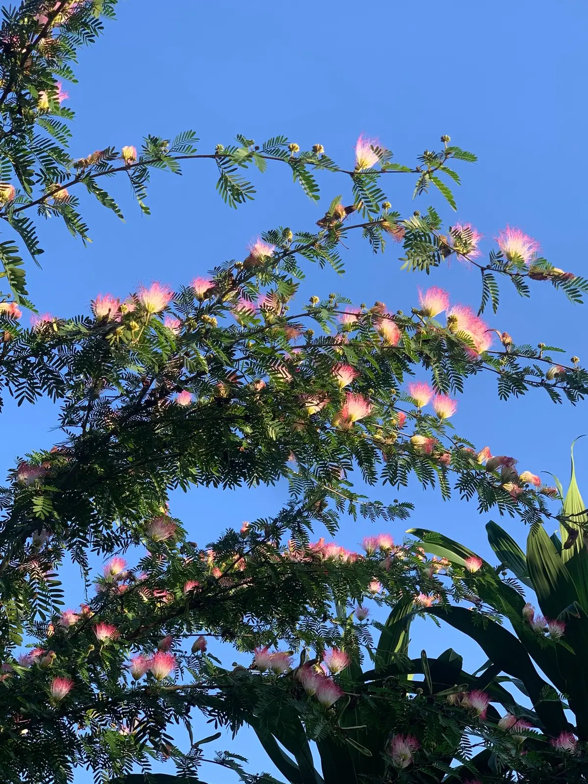 Nhìn cứ cảm giác không tả nổi