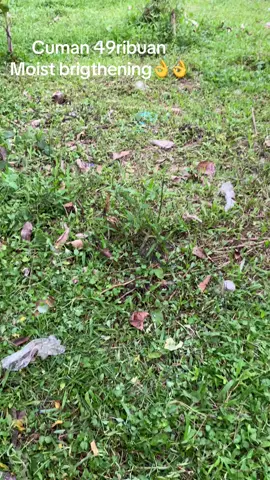 Moist brigthening dari glowshopy#affiliatetiktok #pemulaaffiliate #glowsophy 