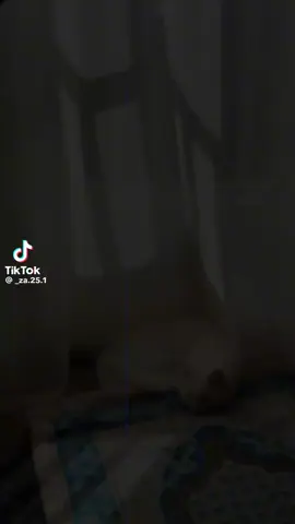 اللهم ارحم موتانا وموتي المسلمين جميعاً 