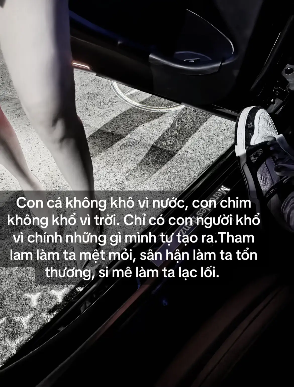Con cá không khô vì nước, con chim không khổ vì trời. Chỉ có con người khổ vì chính những gì mình tự tạo ra.Tham lam làm ta mệt mỏi, sân hận làm ta tổn thương, si mê làm ta lạc lối.  #xh #xuhuong 