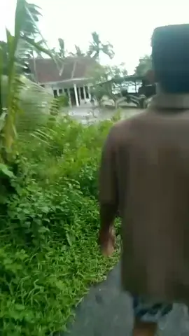 masjid jebol di hantam lahar semeru hari ini di sumberlangsep 6/12/2025  #erupsisemeru2025 #flipシ゚viral #pasrujambe #maaukberandafyp #erupsisemeru2025 