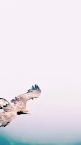 #Norway🇧🇻 6 Dec 2025 Mohamed Bk