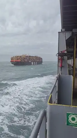 Có duyên giữa đại dương bao la lại gặp lại con tàu từng đi cách đây 3 năm.