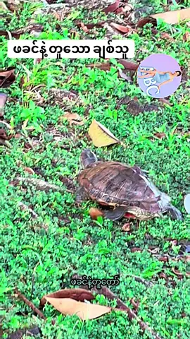 #creatorsearchinsights #tiktok #foryou #fyp #မူရင်းအသံပိုင်ရှင်အားcrdပေးပါတယ် @သုတ ရသ📒 @Korea_grandma @ROSÉ @NOSY SOA PARK @JENNIE @ဇင်ယော်  @A.B.C...(1.3M)  @A.B.C...(1.3M)  @A.B.C...(1.3M) 