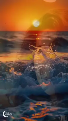 میری میری تنهایم میمانیم؛  دوستت دارم #creatorsearchinsights2025 #fyp #viral #foryoupage #afghanistan🇦🇫 