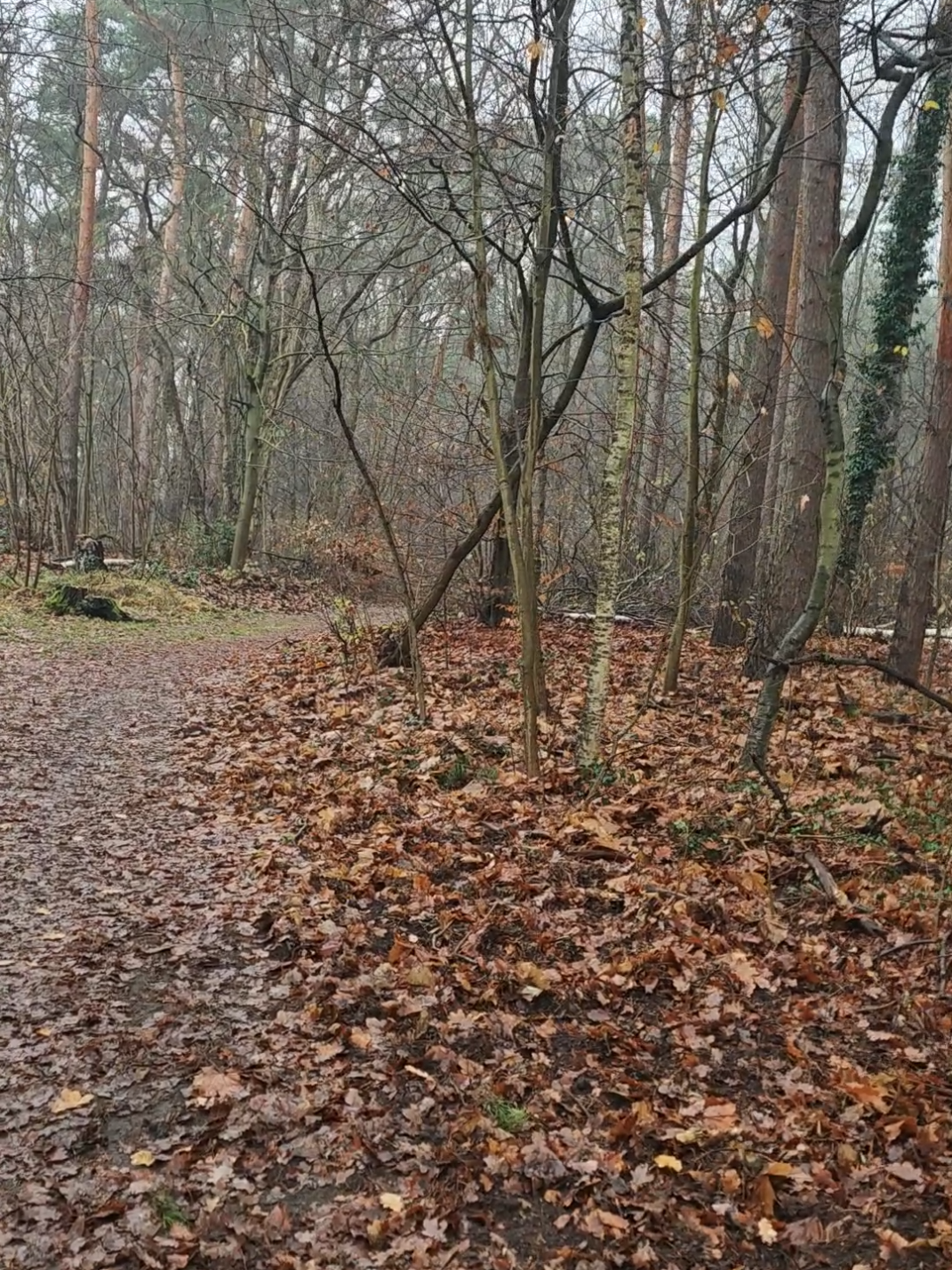 #zitate #weisheiten #sprüche #gedichte #nachdenken 