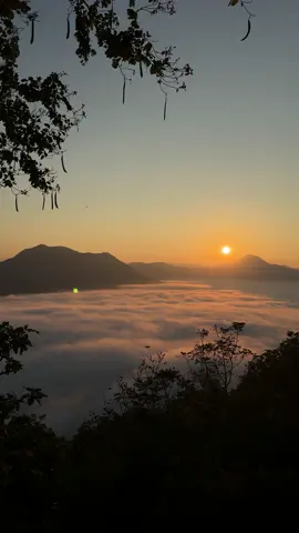 ใช้คำว่าสวยได้เปลืองมากๆ #ภูทอก #เชียงคาน #ทะเลหมอก 