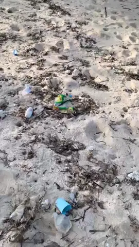 sang petarung #fyappppppppppppppppppppppp #kudapacusumbarfypシ゚viral