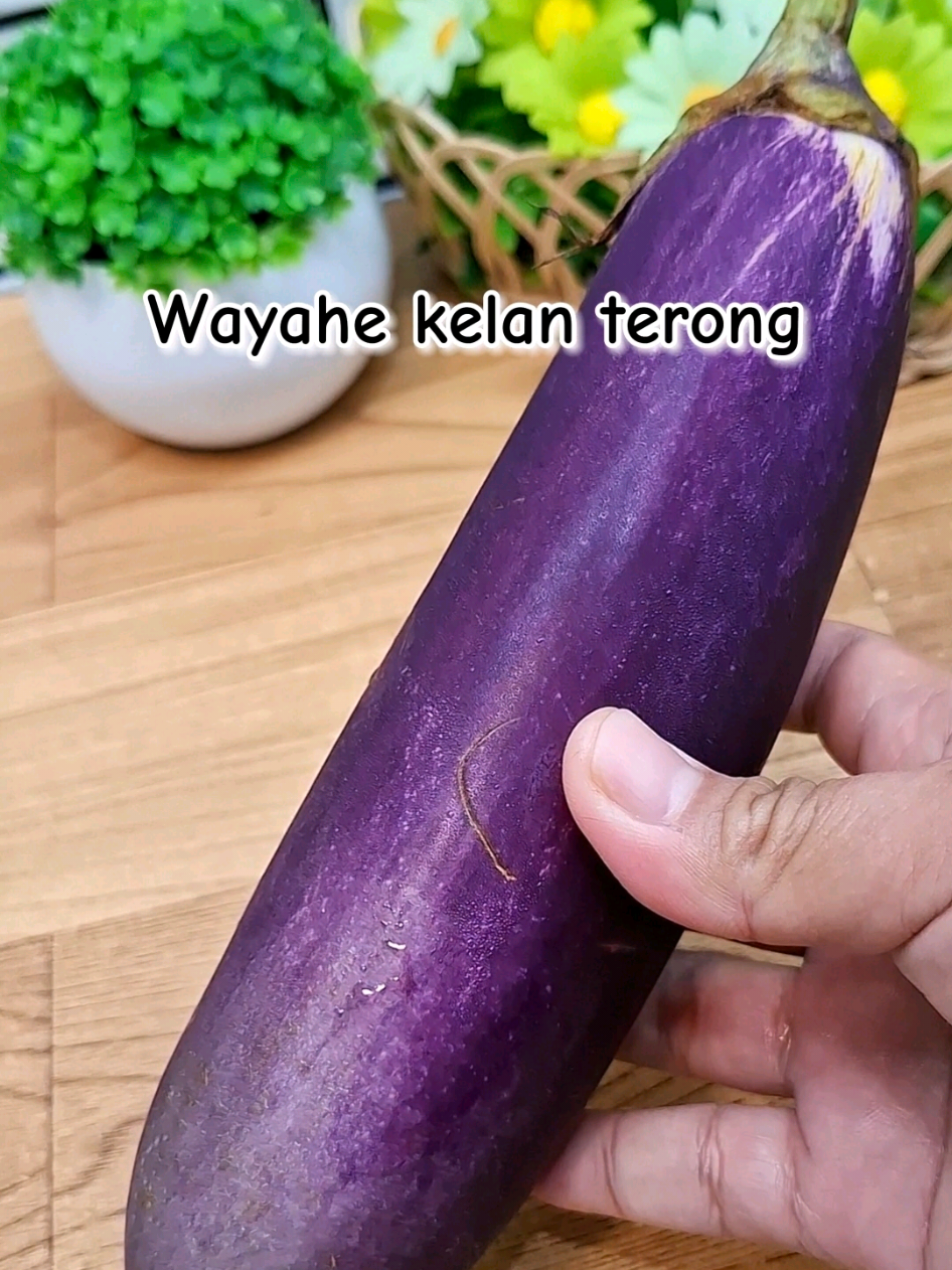 Wis suwe ora kelan terong #resepmasakan #masakanrumahan 