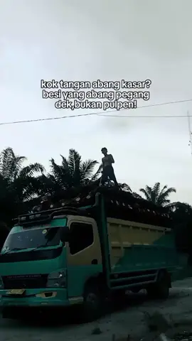 #fyppppppppppppppppppppppp #sawitriau #sawitontiktok #brondolansawet #kulisawit