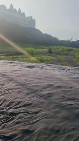 penunggu lapak kolongan.. #merpati #merpatilovers #merpatikolong #fyppppppppppppppppppppppp #fyp 