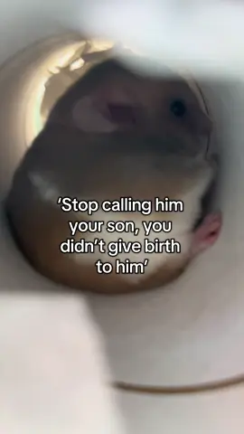 Um…??? I literally did??  #myson #hamster #syrianhamster #hamsters #mybaby 
