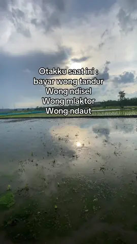 #xybca #petaniindonesia🇮🇩🇮🇩🇮🇩🌿🌿 #4u #fyppppppppppppppppppppppp #masukberanda 