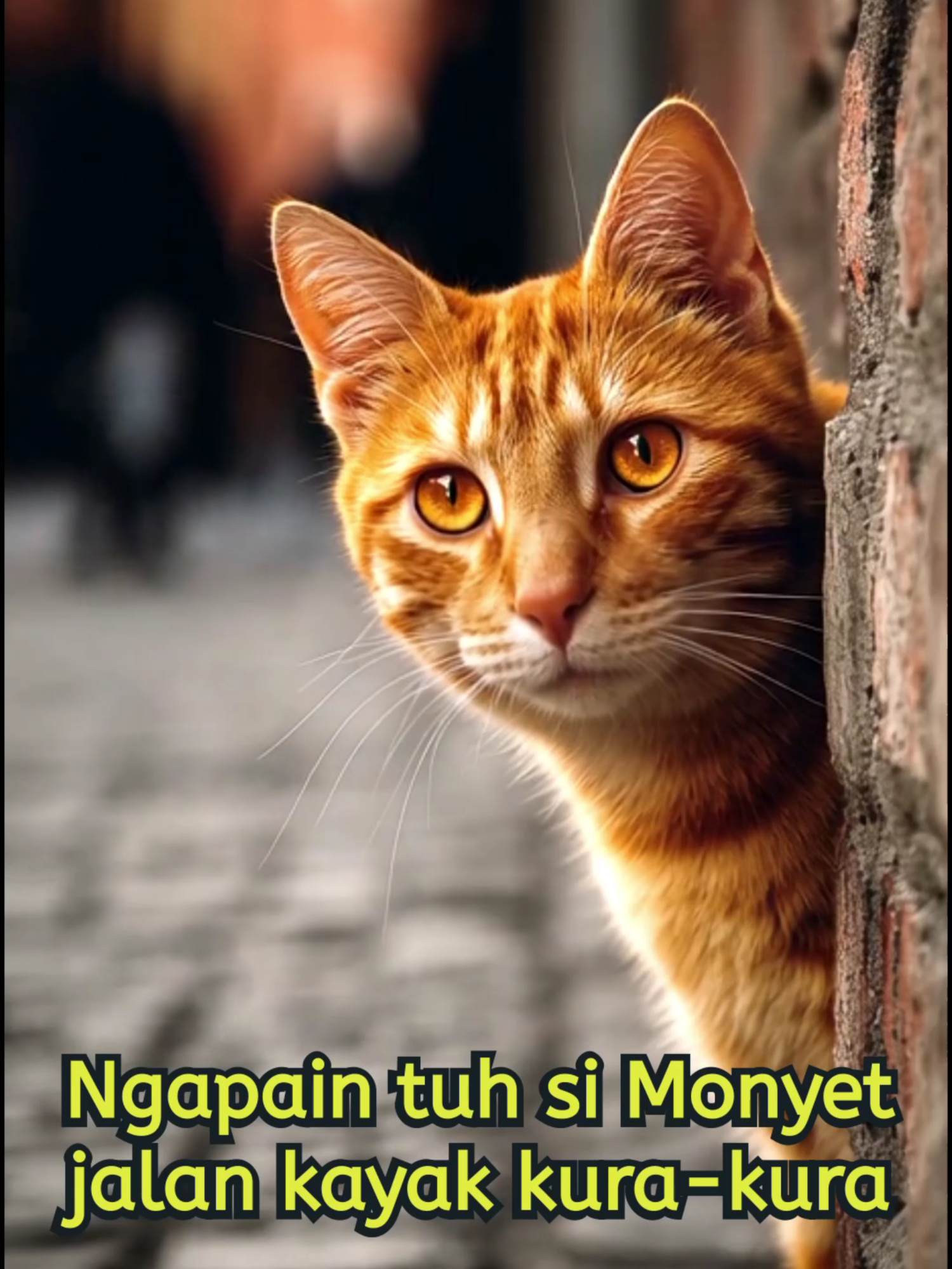 KENAPE SI MONYET JALANNYE PELAN? #kucing #ai #humor #monyetlucu #cat #kucinglucu #kucingtiktok