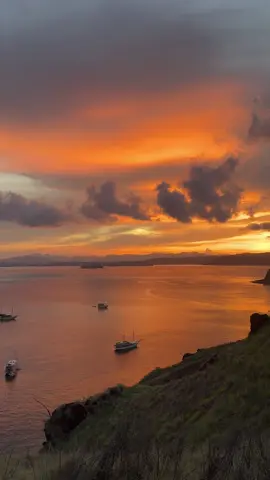 HADIAH BANGUN PAGI DI BAJO  #labuanbajo #padar 