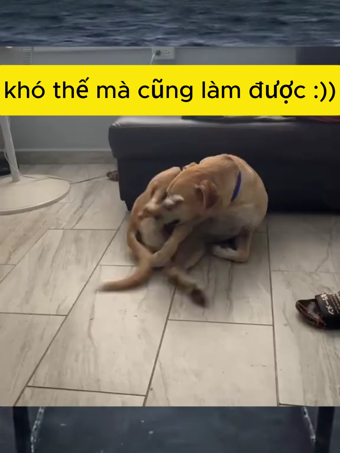 #memestiktok #meme #giaitritiktok #funny #funnyvideo #fyp #meme111 #viral