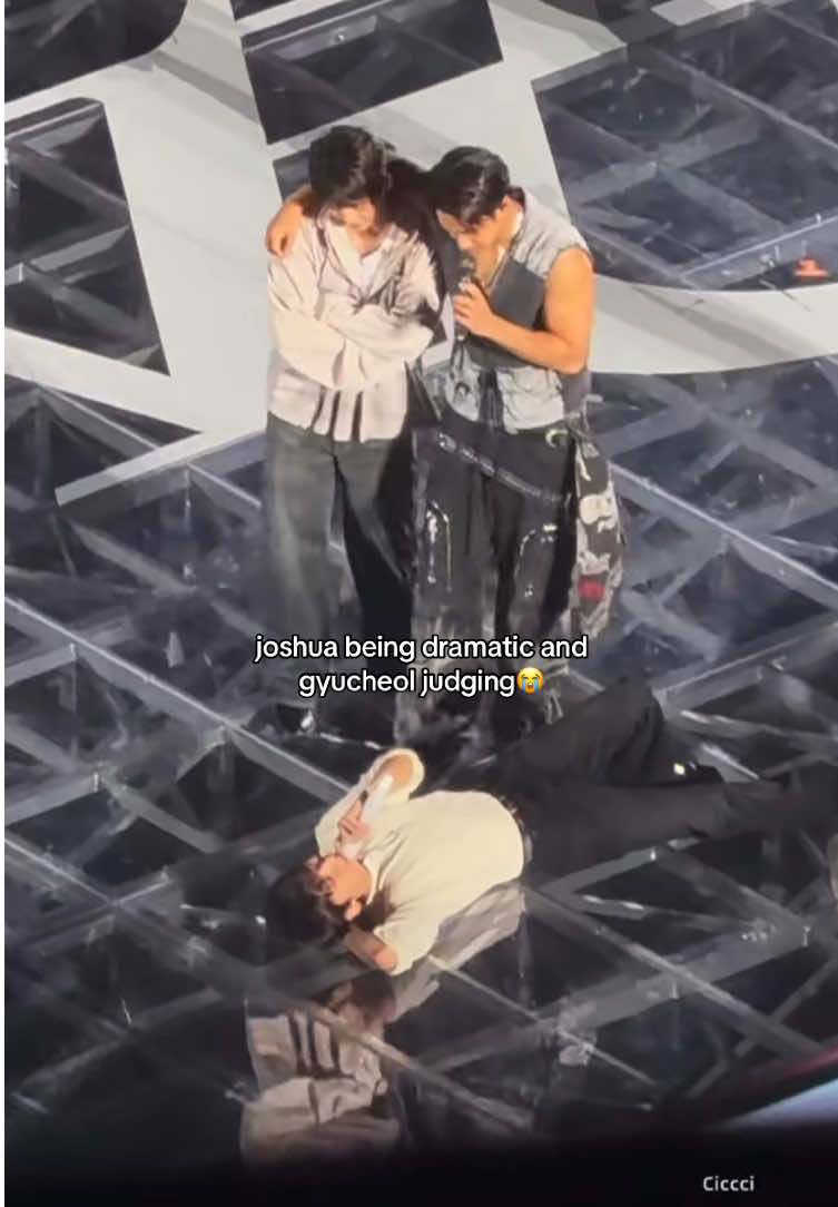 lmao #joshua #scoups #mingyu ctto