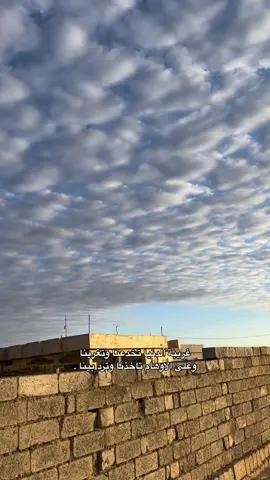 #شعر_عراقي #صلاح_الدين #اكسبلور #تكريت #شعر 