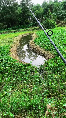 Hì hục cả 2 tiếng vét luồng để phục vụ đam mê nhưng mà vui #câucá #lure #lurefishing #xuhuongtiktok #CapCut 