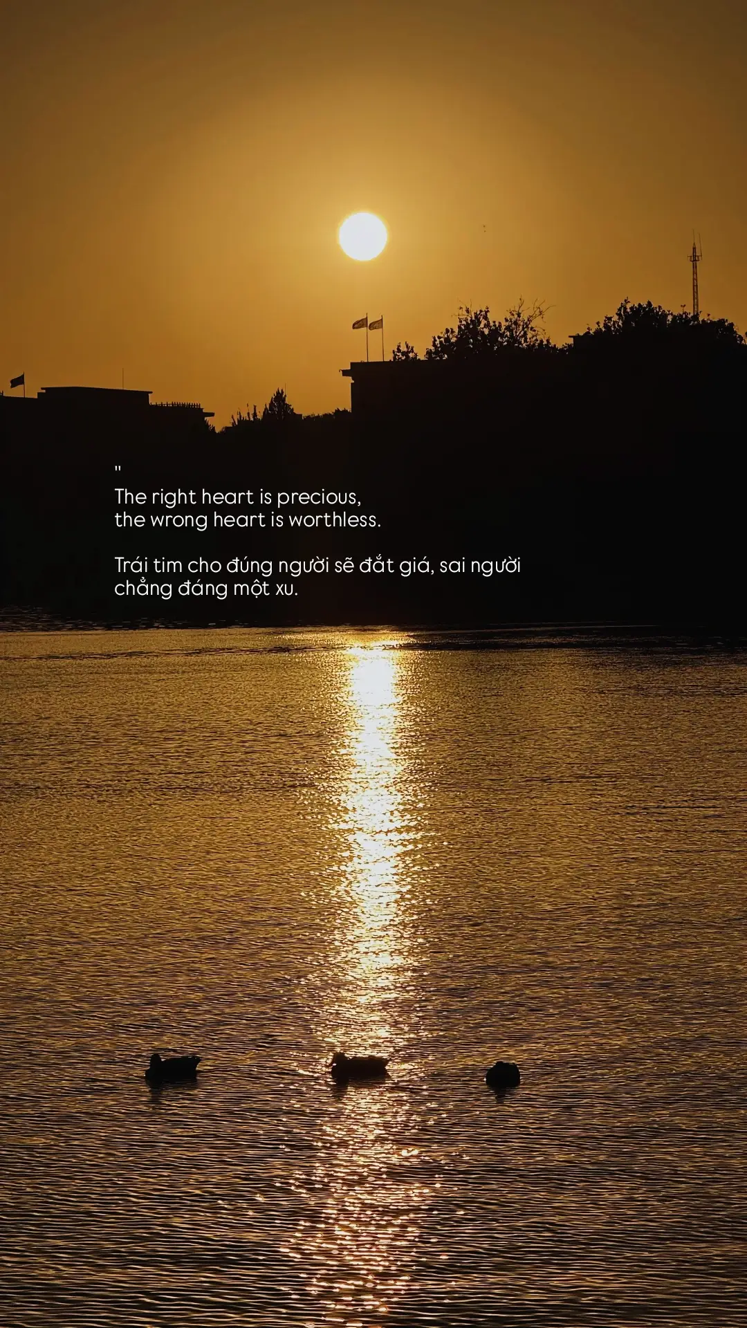 The right heart is precious, the wrong heart is worthless...