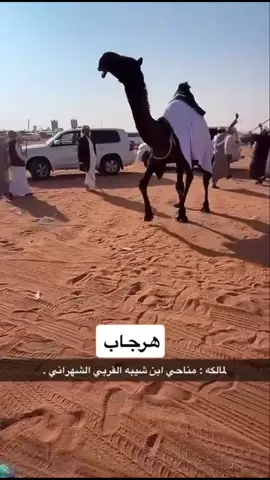 #هرجاب #ابن_شيبه #شهران_العريضة #بني_واهب #الصياهد 