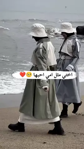 #الشعب_الصيني_ماله_حل😂😂 