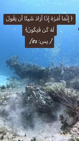 #انما_امره_اذا_اراد_شي_يقول_له_كن_فيكون #اللهم_صل_وسلم_على_نبينا_محمد #لااله_الا_انت_سبحانك_اني_كنت_من_ظالمين 