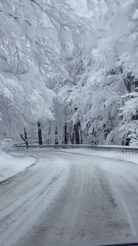 #keşfetteyizzz #keşfetteyizz #keşfet #shootingguide #guller 