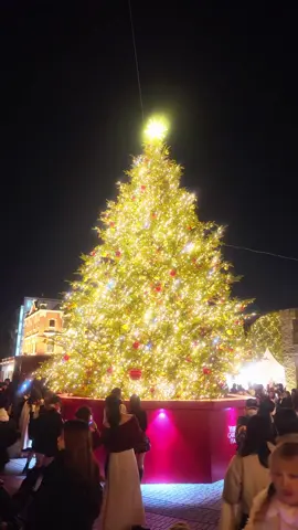 恵比寿のイルミが綺麗すぎた…‼️ 是非みんな見に来て!!👍 恵比寿ガーデンプレイス イルミ ✨ 2025/11/8〜2026/3/1 16:00〜23:00（初日は17:00〜） バカラのシャンデリアは〜1/12まで登場！ #🇯🇵 #日本の風景 #イルミネーション #恵比寿ガーデンプレイス #絶景巡り 