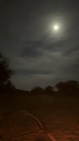 #اكسبلور #اكسبلور_تيك_توك 