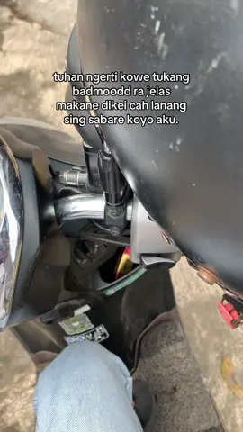 Cah ilik nesunan pengen tak hiyak” jane cah tapi mesakne😫@Fadilla #klaten24jam #kentussukanyongkek #fyp #xyzbca 