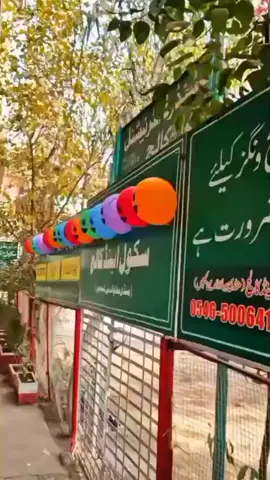 #standardinternationalschool #followpage #fyp #like #share 