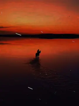 GECE MEYXANELER 🎵👋🍷 #abdullayev021 #mahnılar #gecemeyxaneler 